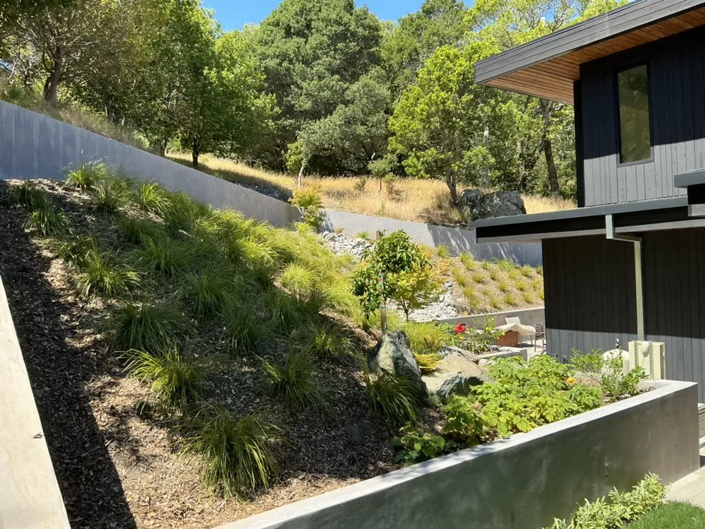 Expert landscape design for homes across Novato, CA - Garden Care and Maintenance Jony Gonzalez