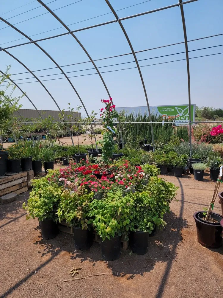 Local landscape installation in Las Cruces, NM by Garden Center of Las Cruces