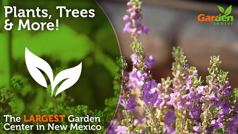 Custom residential landscaping near you in Las Cruces, NM by Garden Center of Las Cruces