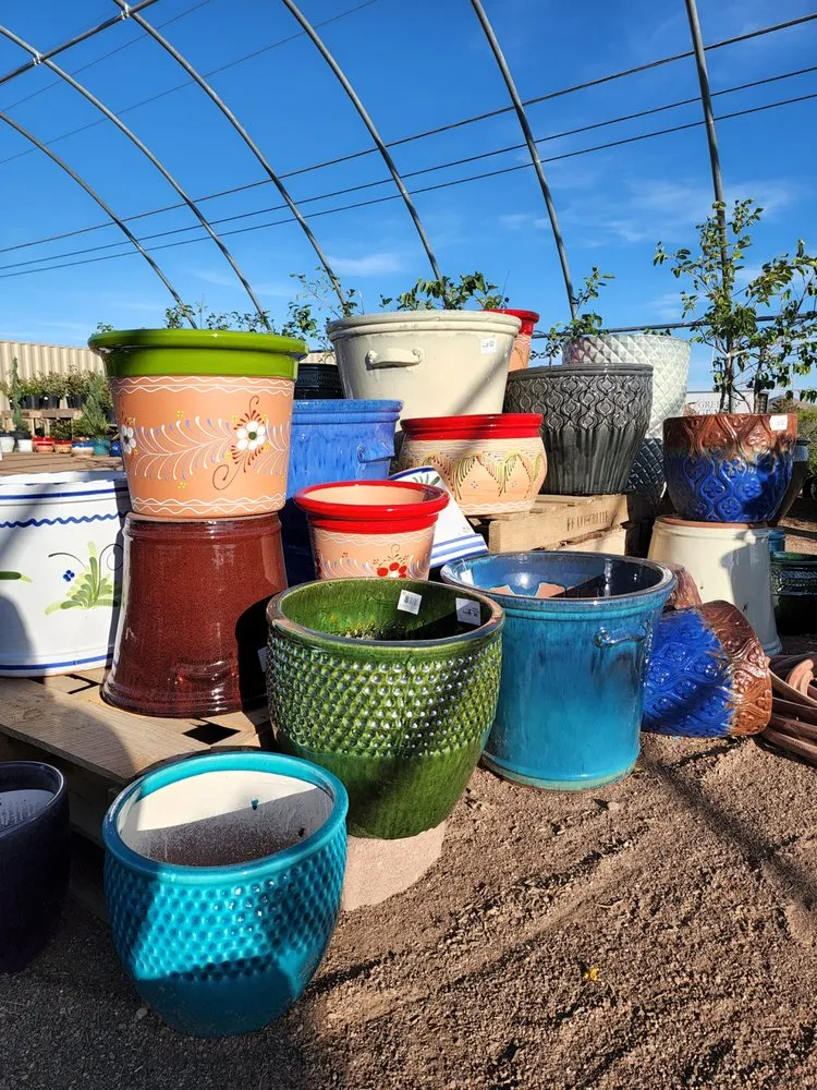 Reliable outdoor landscaping experts serving Las Cruces, NM - Garden Center of Las Cruces