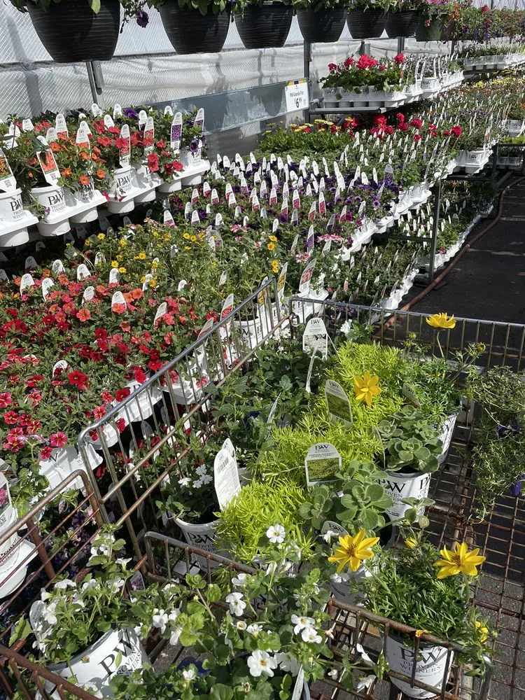 Affordable residential landscaping in Saint Anthony, MN by Garden City