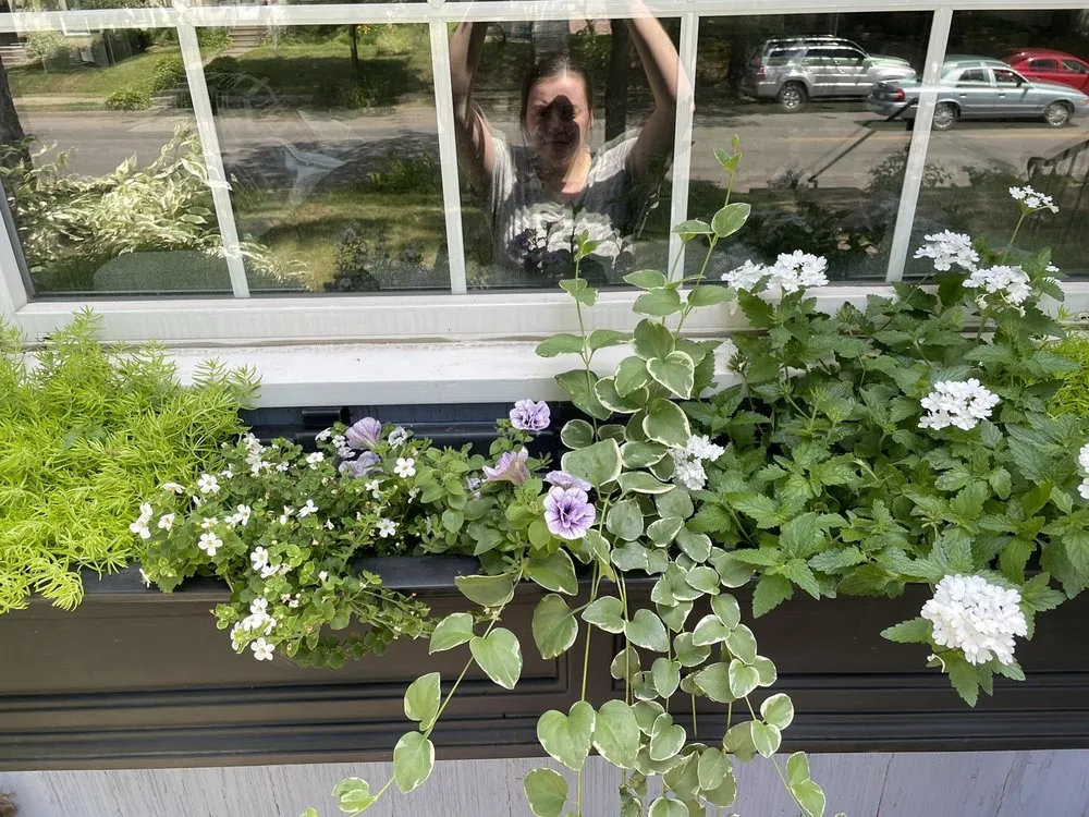 Top-rated lawn mowing service for residential properties in Saint Anthony, MN by Garden City