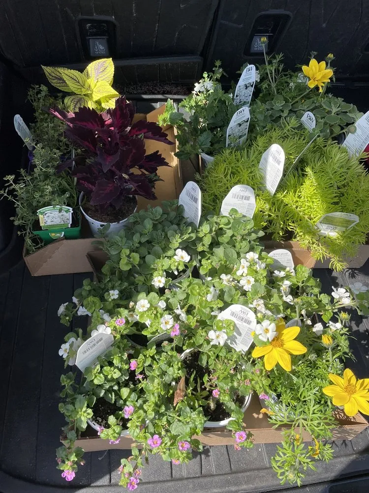 Custom garden landscaping in Saint Anthony, MN by Garden City