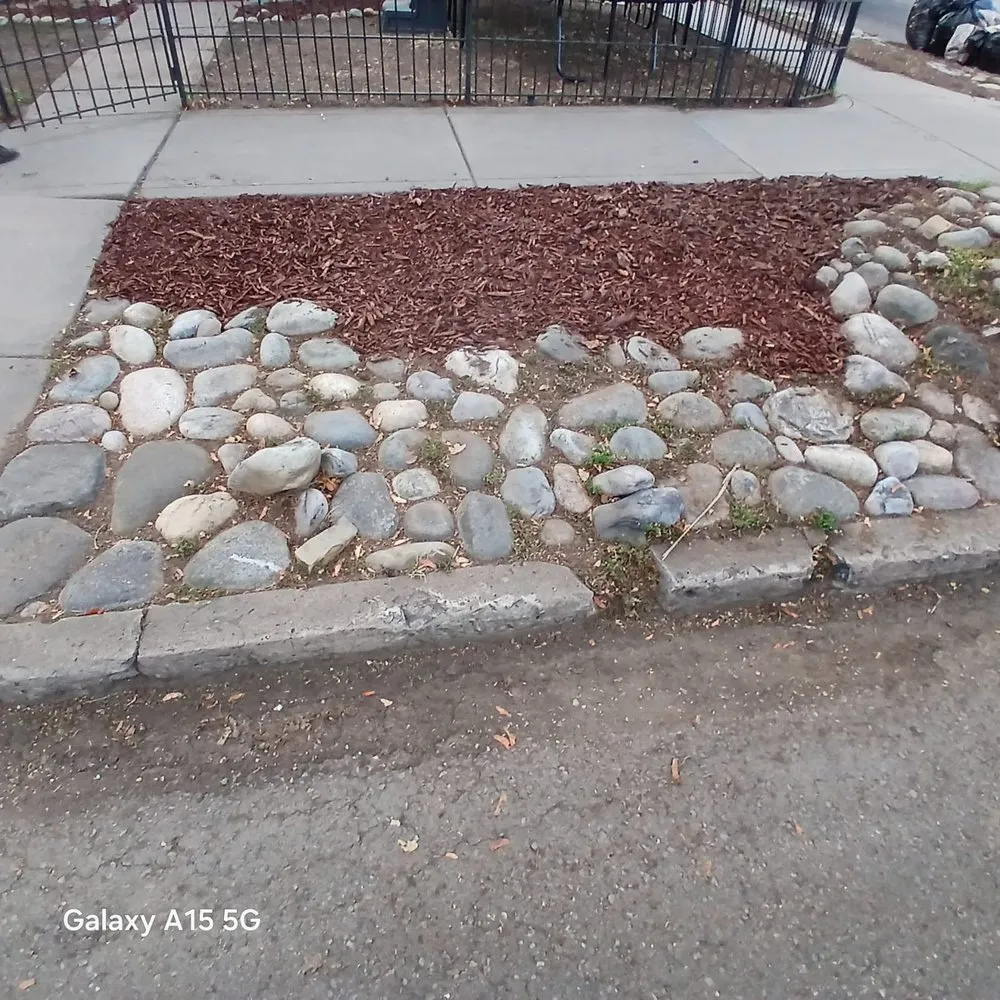 Local outdoor landscaping for residential properties across Durango, CO - Garden Cleaning Ordóñez Concrete