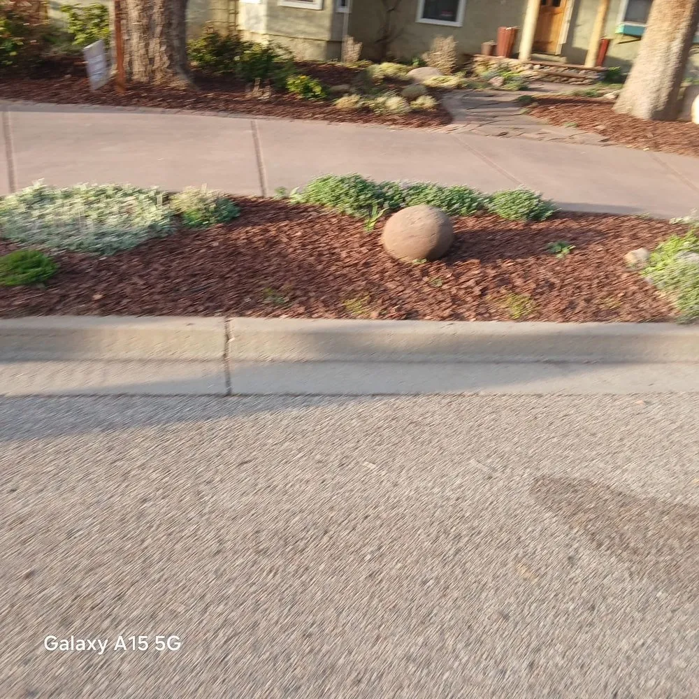 Affordable landscape installation in Durango, CO by Garden Cleaning Ordóñez Concrete