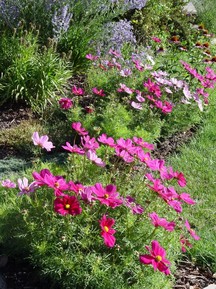 Trusted landscape design in Avon, CO by Garden Creations