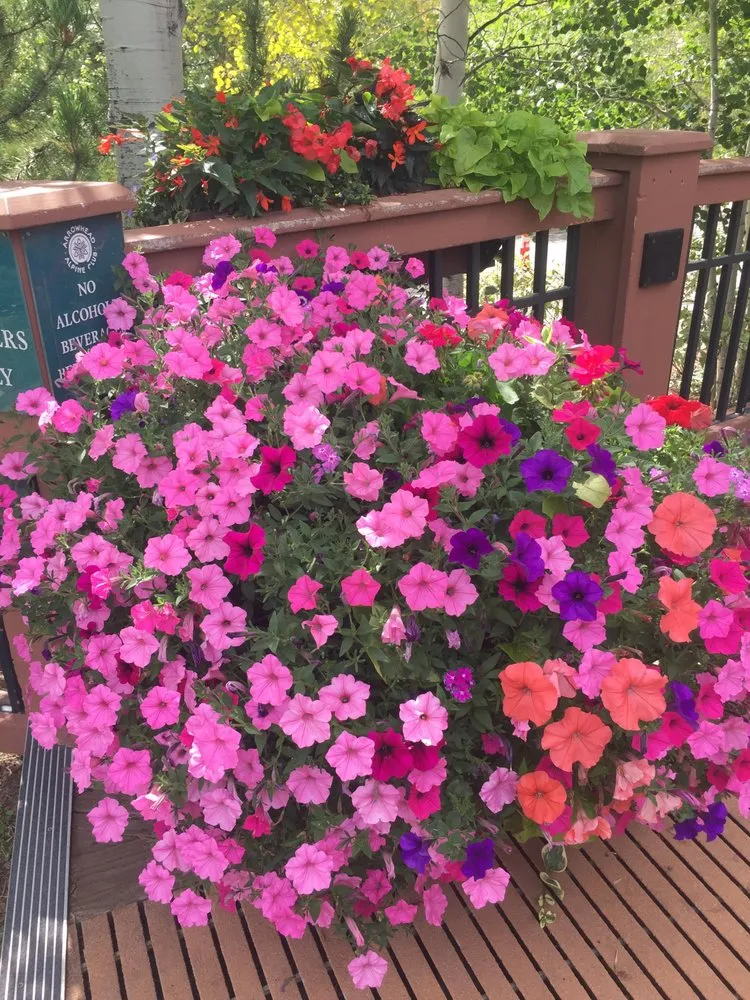 Professional lawn mowing service for outdoor upgrades in Avon, CO by Garden Creations