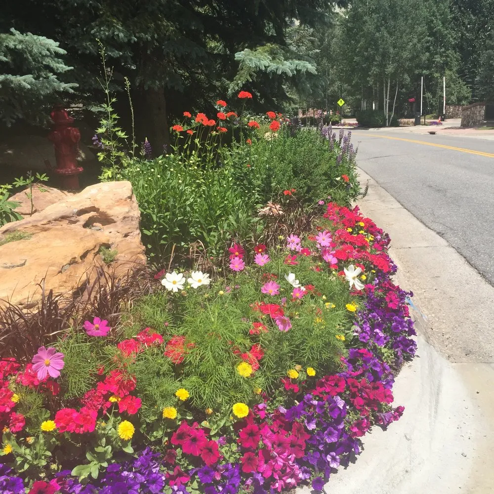 Custom residential landscaping experts serving Avon, CO - Garden Creations