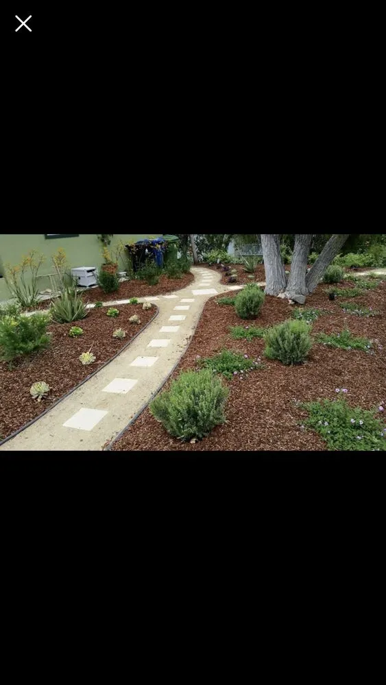 Custom lawn care service experts serving Los Angeles, CA - Garden Creations