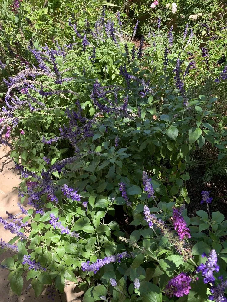 Trusted landscape installation experts serving Los Angeles, CA - Garden Creations