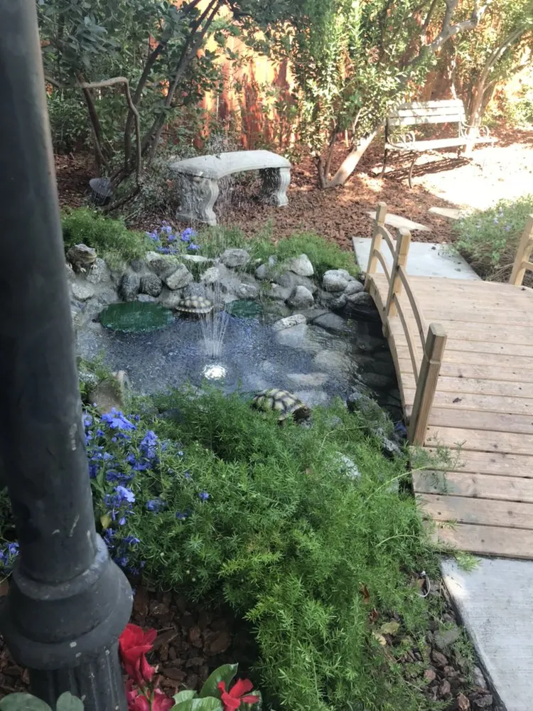 Top-rated landscape design for year-round maintenance in Los Angeles, CA by Garden Creations
