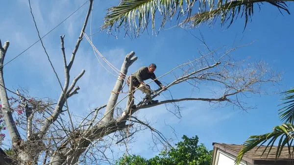 Garden Creations Logo