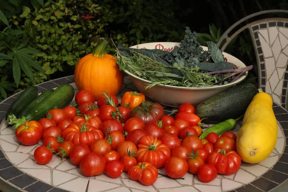 Local residential landscaping with custom design across Seattle, WA - Garden Dawn