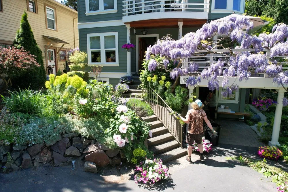 Top-rated yard maintenance for beautiful yards across Seattle, WA - Garden Dawn