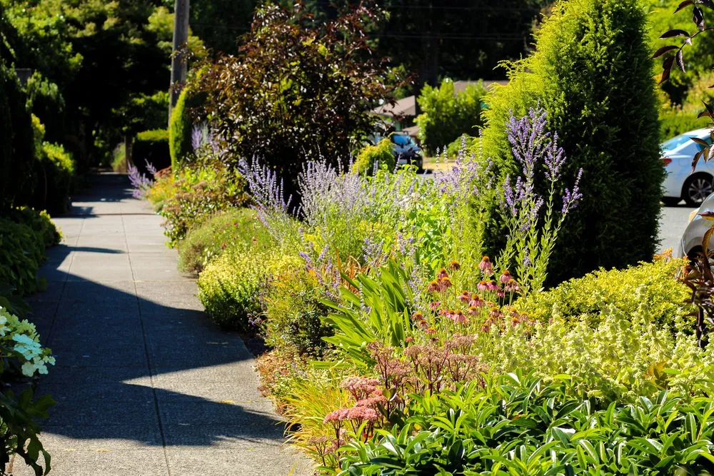 Reliable yard maintenance experts serving Seattle, WA - Garden Dawn