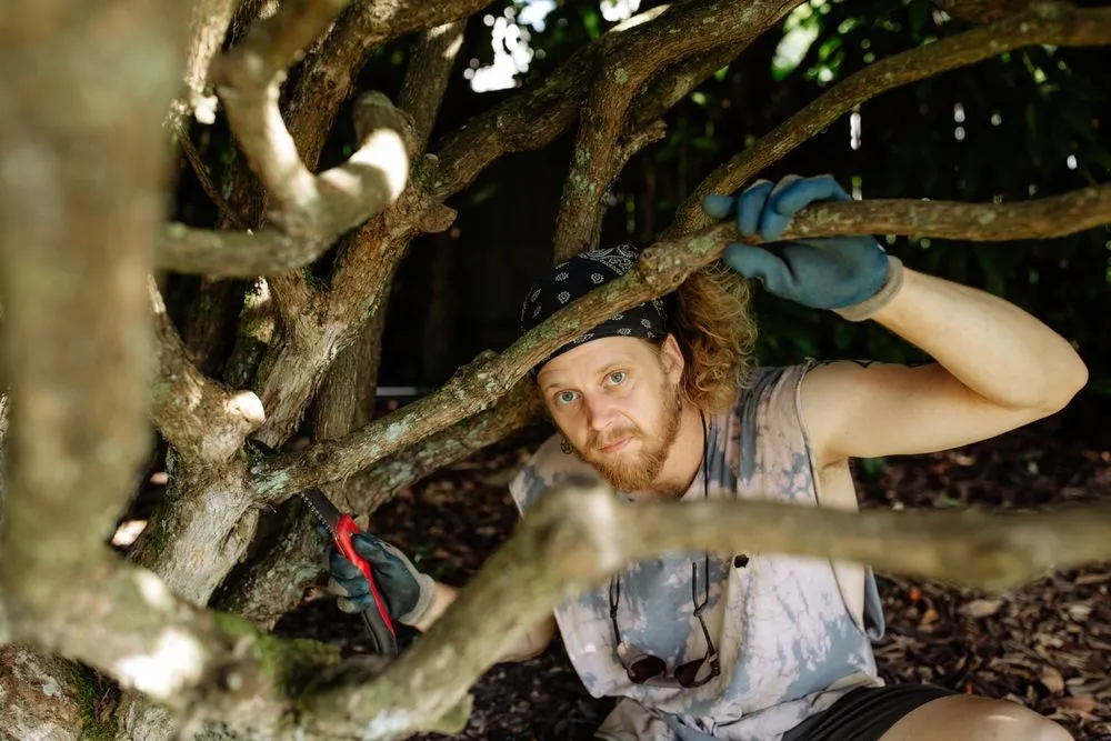 Reliable yard cleanup service experts serving Seattle, WA - Garden Dawn