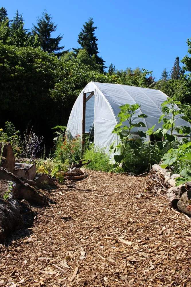 Affordable outdoor landscaping with custom design across Seattle, WA - Garden Dawn