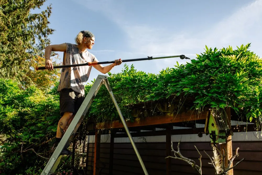 Trusted landscaping services experts serving Seattle, WA - Garden Dawn