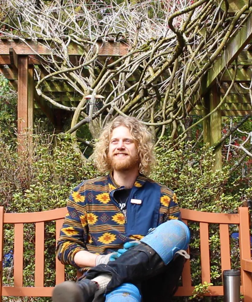 Reliable landscape design experts serving Seattle, WA - Garden Dawn