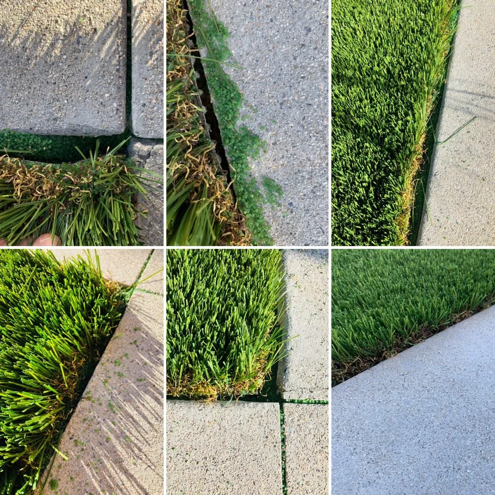 Professional lawn care service in Laguna Woods, CA - Garden Design by Daniel Park