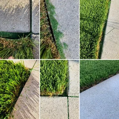 Garden Design by Daniel Park