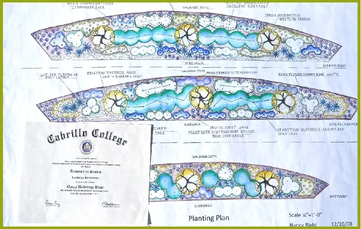 Trusted yard cleanup service experts serving Santa Cruz, CA - Garden Design by Nancy