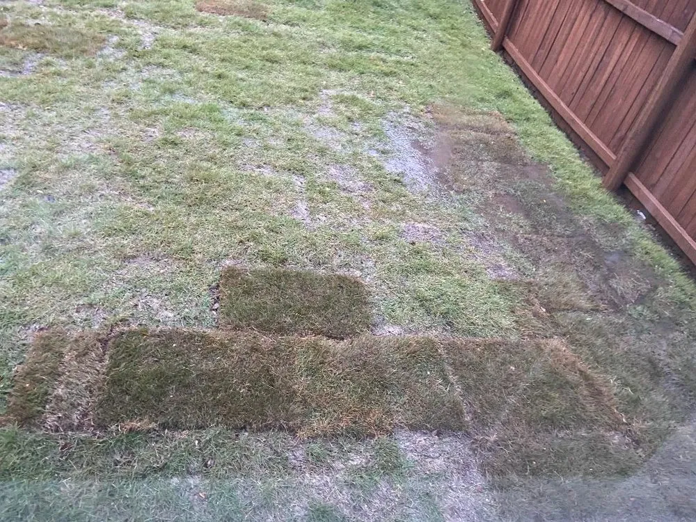 Trusted outdoor landscaping for residential properties in Farmers Branch, TX by Garden Design, Inc