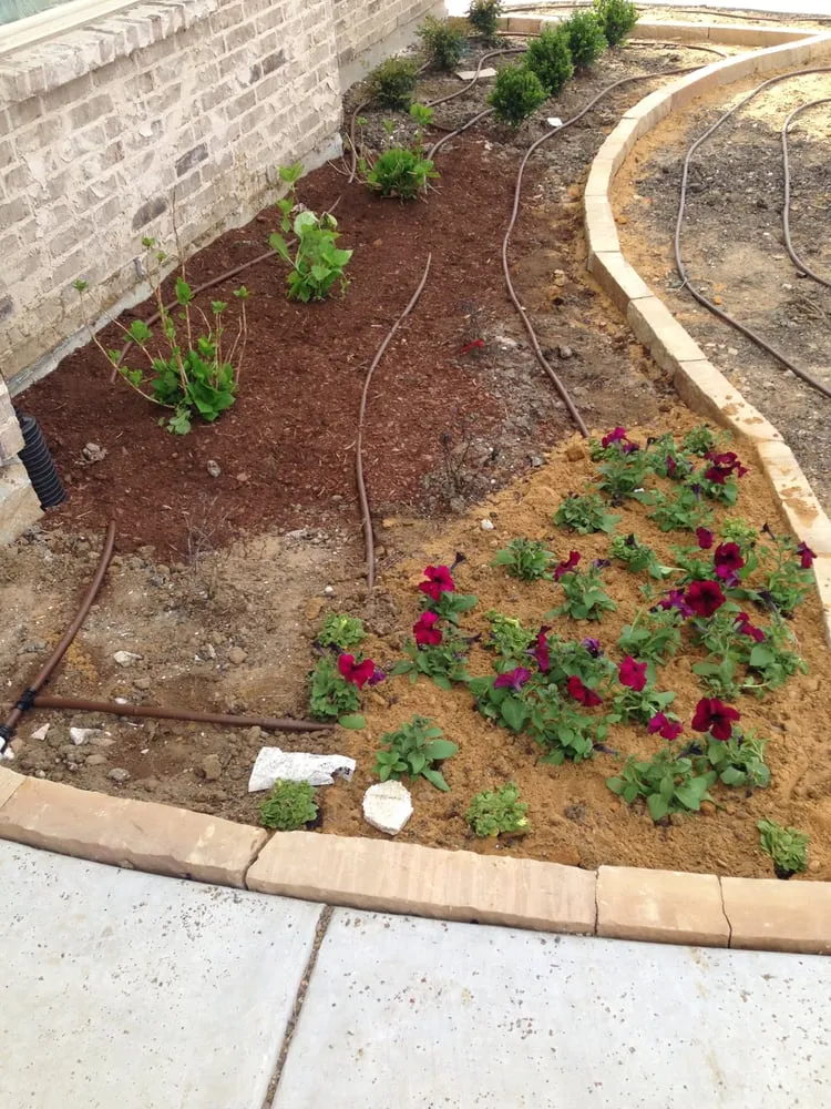 Affordable landscape installation for year-round maintenance across Farmers Branch, TX - Garden Design, Inc