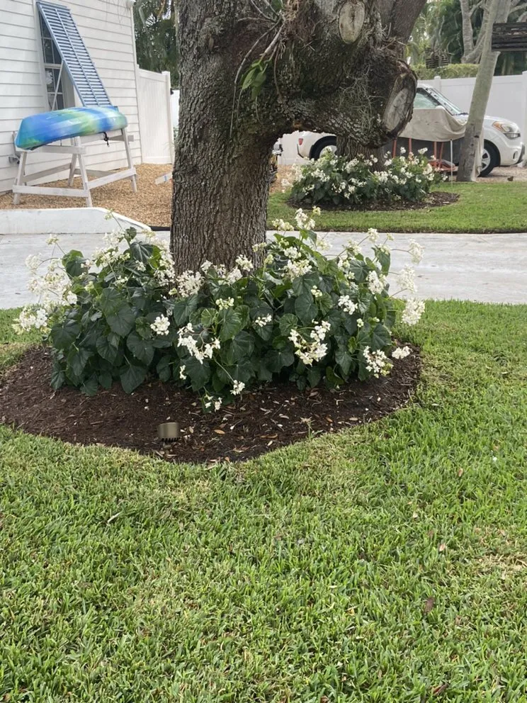 Professional outdoor landscaping in West Palm Beach, FL by Garden Design Pros