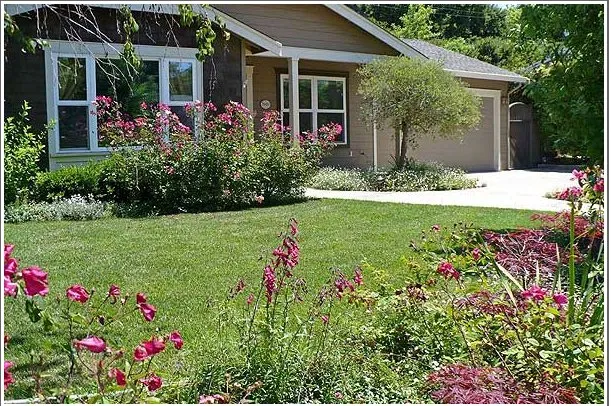 Trusted yard maintenance in Redwood city, CA by Garden Design Service