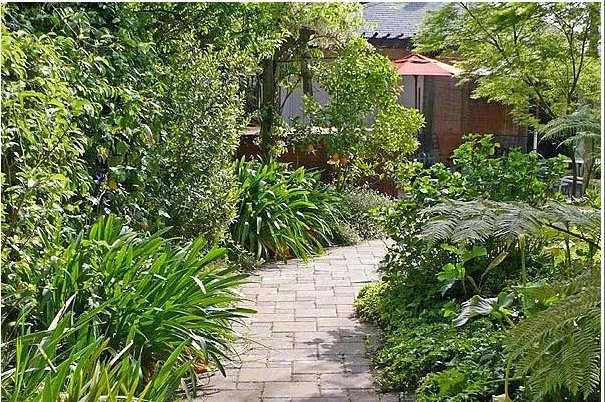 Affordable yard maintenance in Redwood city, CA - Garden Design Service