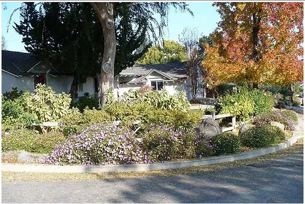 Top-rated yard maintenance for homes across Redwood city, CA - Garden Design Service