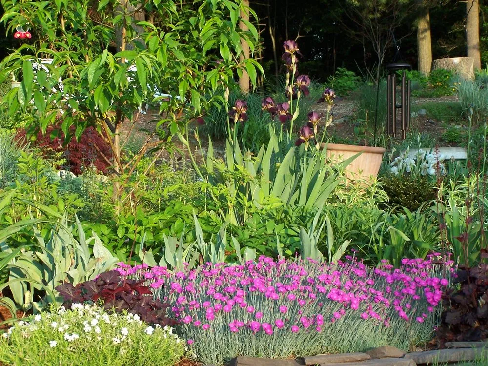 Trusted yard cleanup service for residential properties across Ludlow, MA - Garden Designs by Jacqueline