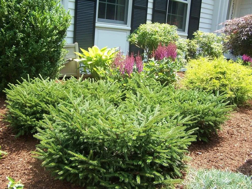 Top-rated yard maintenance with custom design across Ludlow, MA - Garden Designs by Jacqueline