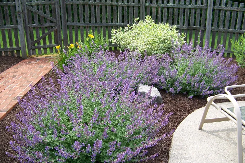 Trusted lawn mowing service experts serving Ludlow, MA - Garden Designs by Jacqueline