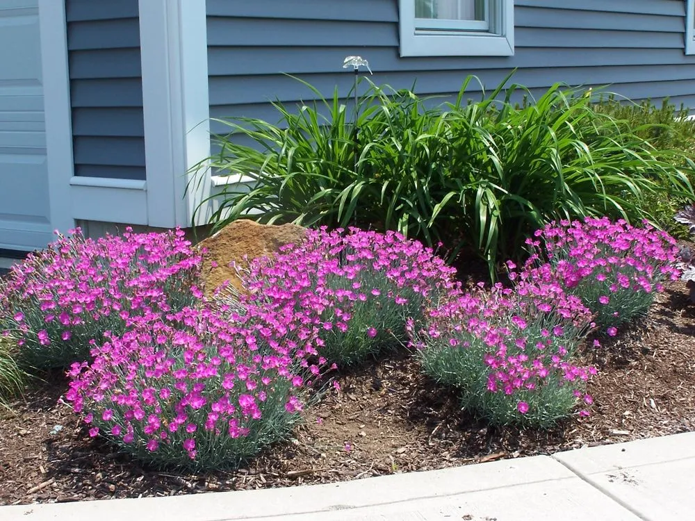 Affordable landscaping services near you in Ludlow, MA by Garden Designs by Jacqueline
