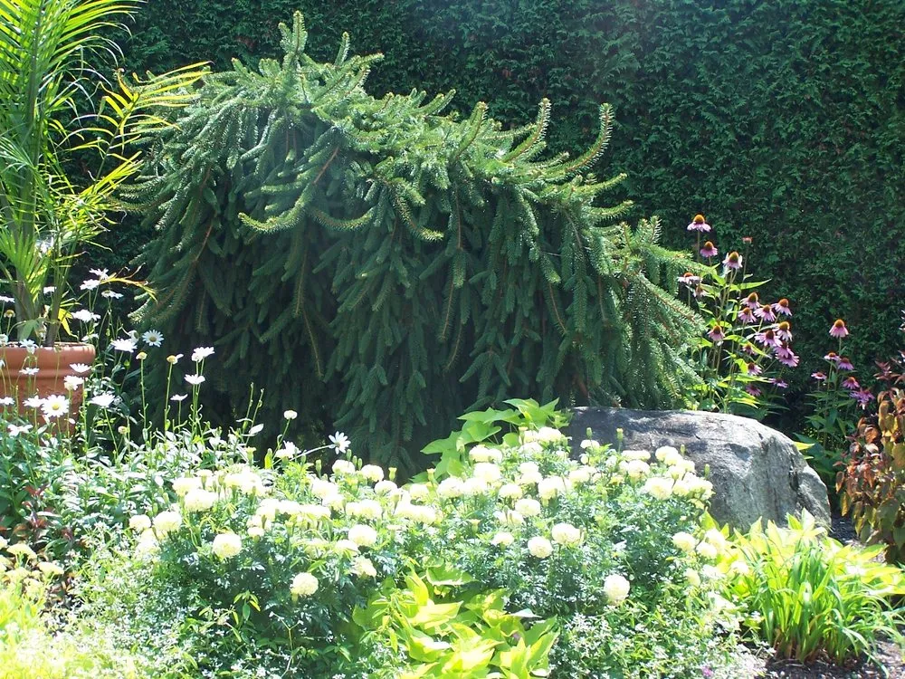 Affordable garden landscaping in Ludlow, MA by Garden Designs by Jacqueline