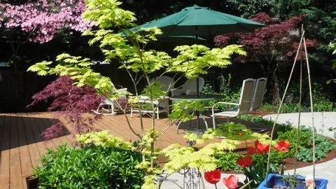 Professional landscaping services experts serving Vancouver, WA - Garden Designs By Joyce