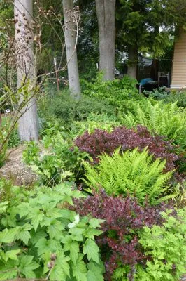 Garden Designs By Joyce Logo