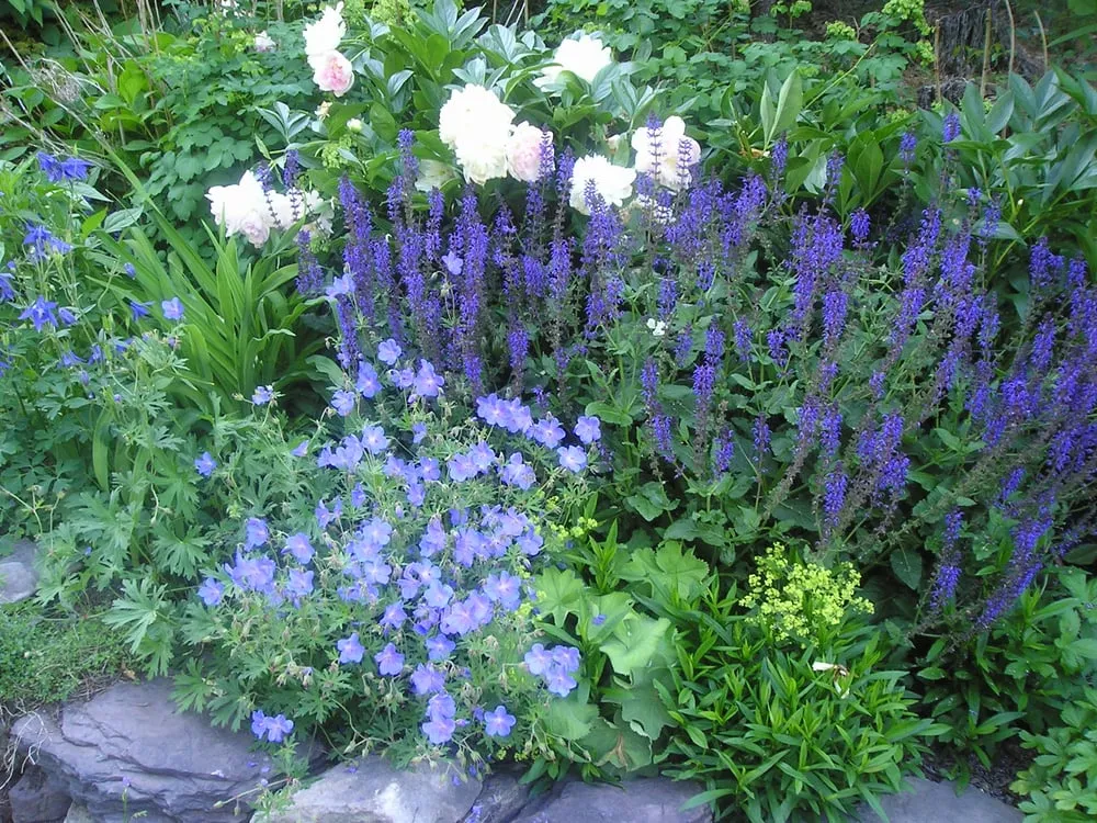 Custom yard cleanup service experts serving Ipswich, MA - Garden Designs By Kristen