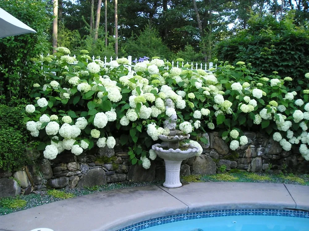 Top-rated landscape design in Ipswich, MA - Garden Designs By Kristen
