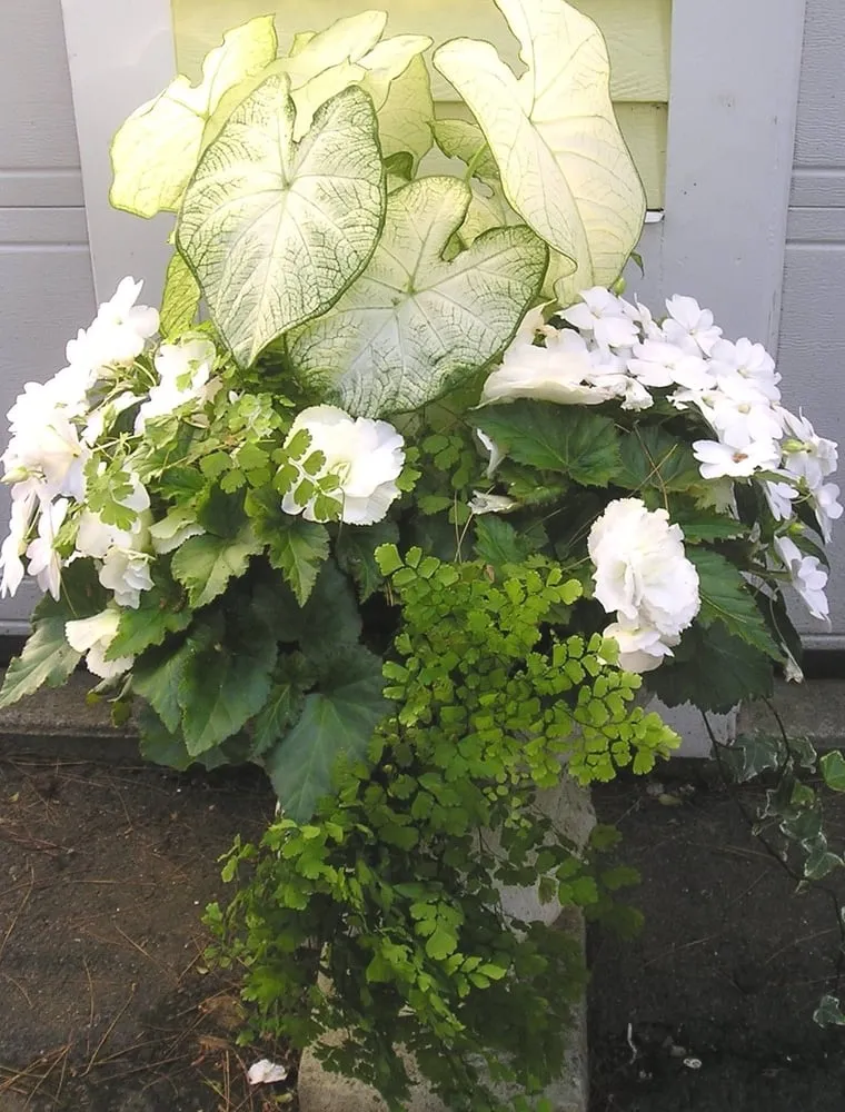 Trusted landscaping services in Ipswich, MA - Garden Designs By Kristen