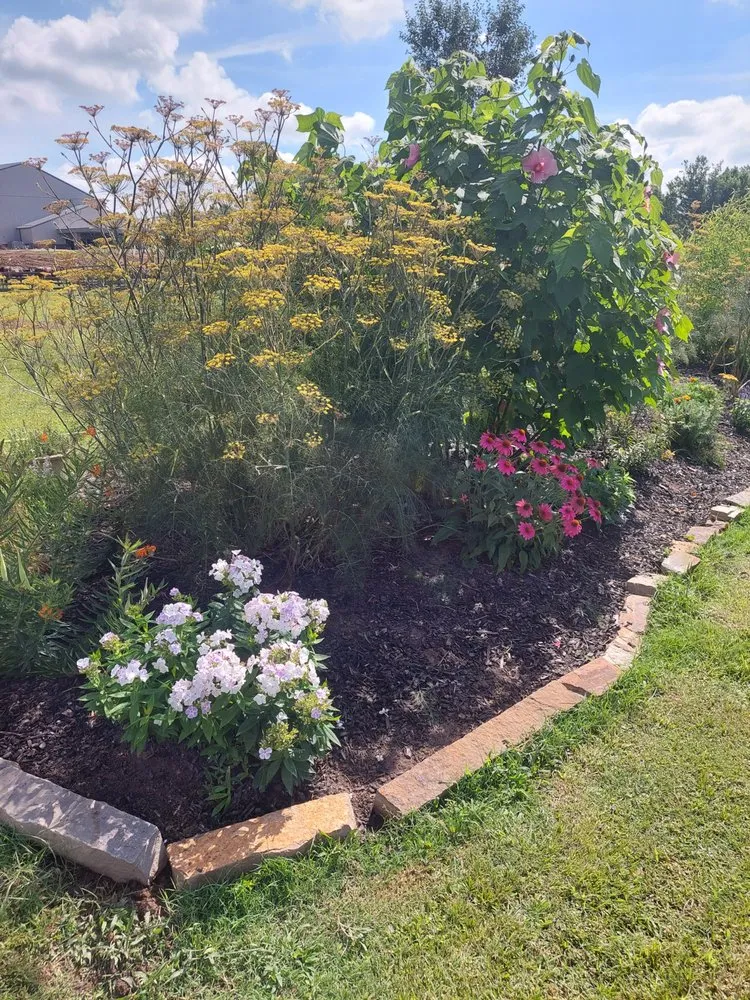 Reliable yard cleanup service for residential properties in Bryant, AR by Garden Designs By R&L