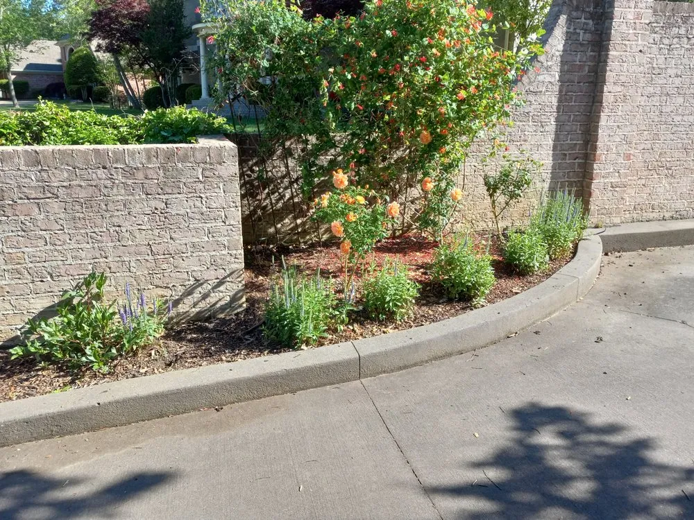 Reliable landscaping services for homes across Bryant, AR - Garden Designs By R&L