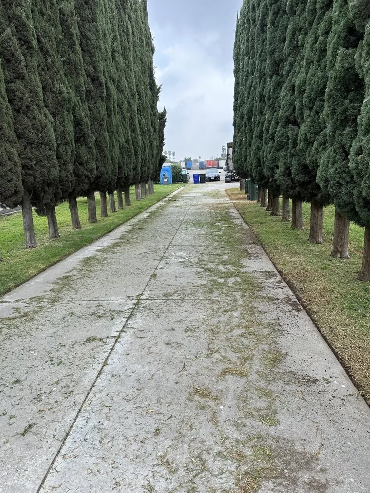 Custom residential landscaping for homes across Rialto, CA - Garden Detail