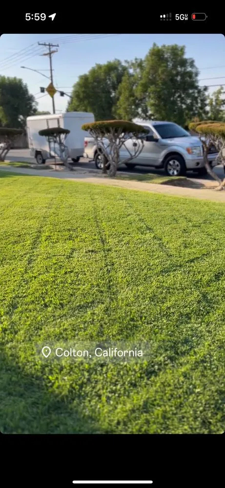 Reliable lawn mowing service in Rialto, CA - Garden Detail