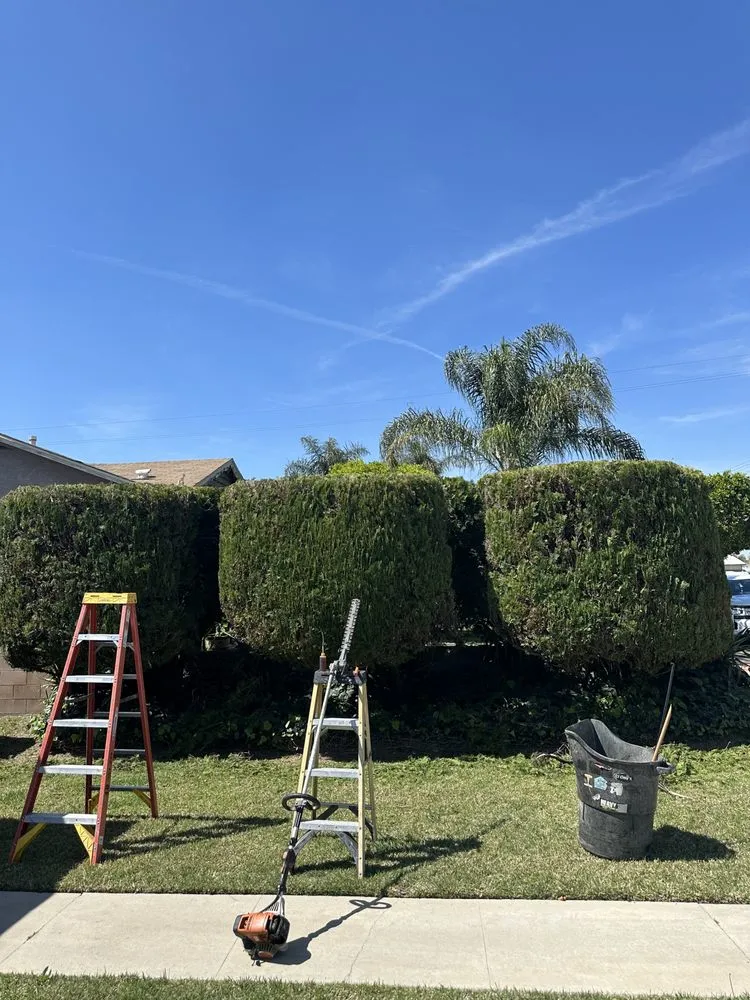 Custom landscape design in Rialto, CA - Garden Detail