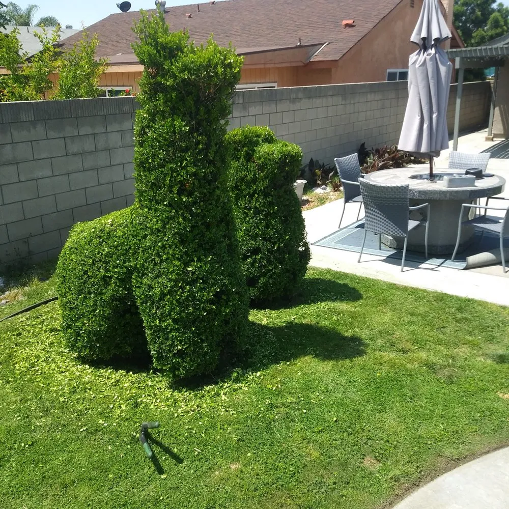 Local landscape design in Rialto, CA - Garden Detail