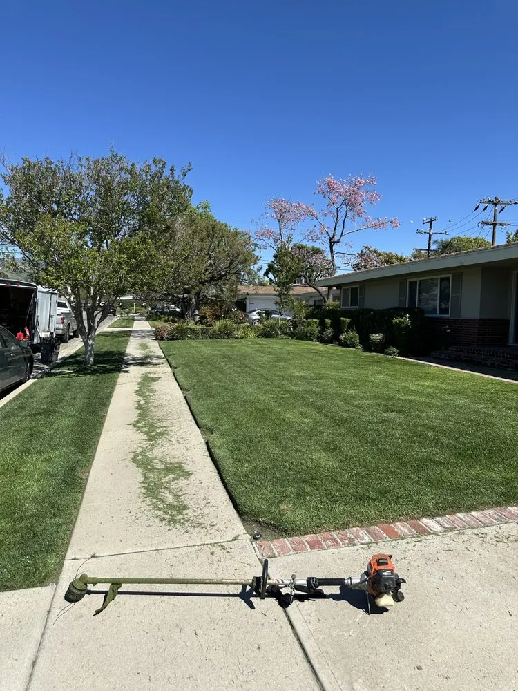 Expert yard maintenance for beautiful yards in Rialto, CA by Garden Detail