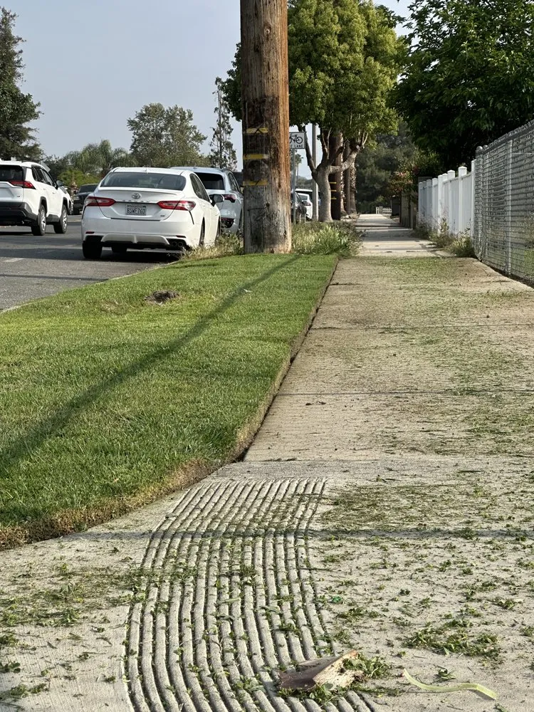 Local yard cleanup service experts serving Rialto, CA - Garden Detail